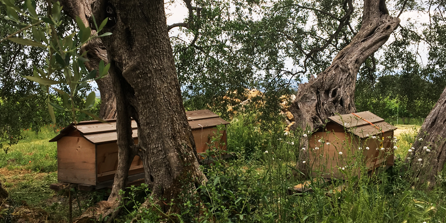 Bijenkasten Soldera Bijenkasten Soldera